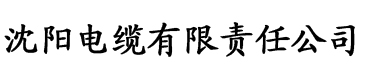 com91香蕉视频电缆厂logo